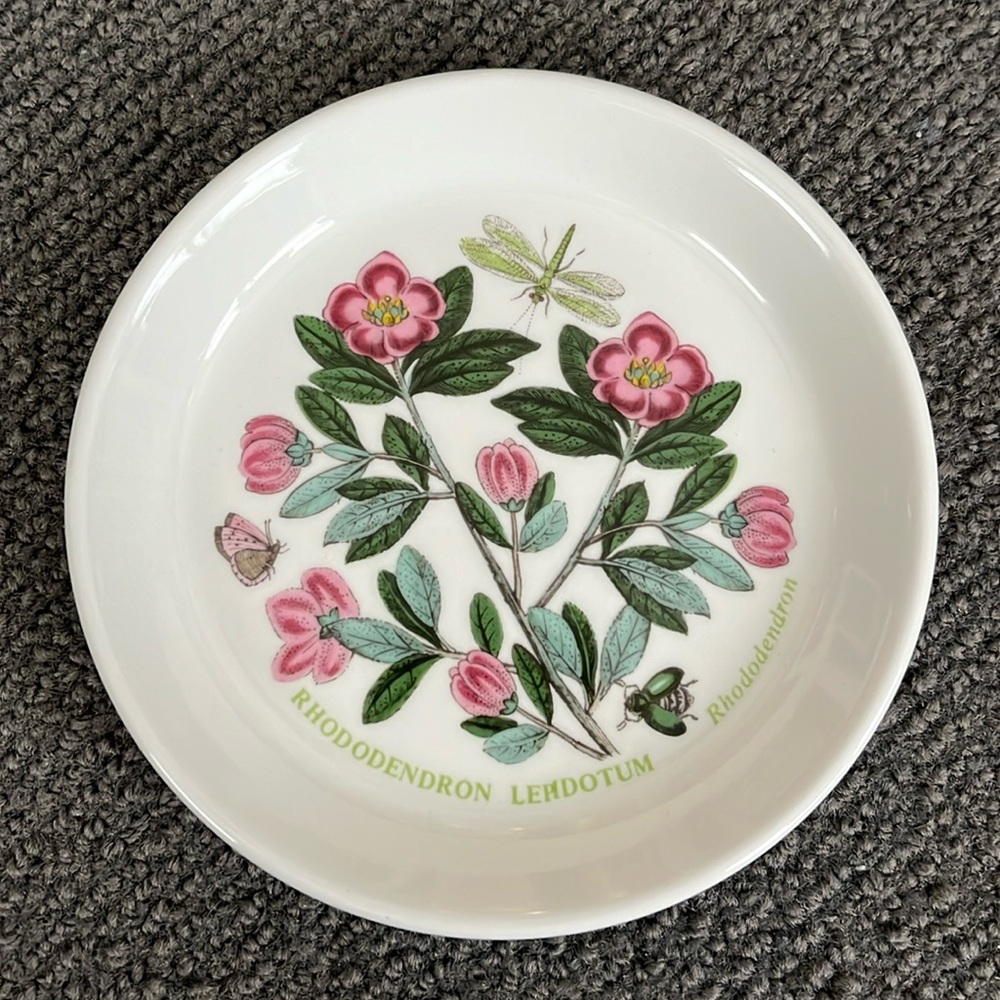 Vintage Botanic Garden Portmeirion Ceramic Trinket dish or coaster.